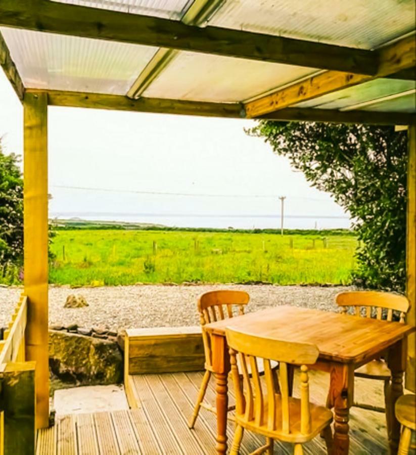 Ty Helyg Bed & Breakfast Сейнт Дейвидс Екстериор снимка