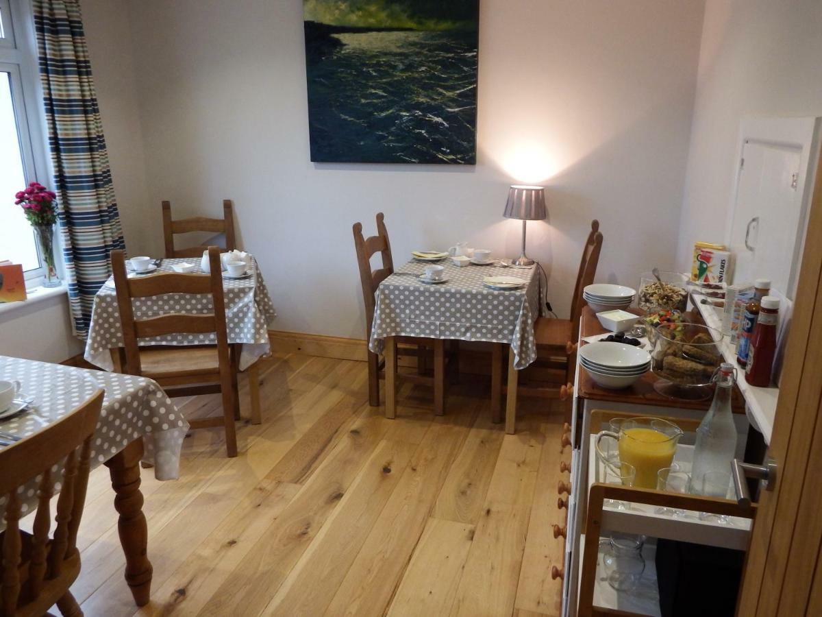 Ty Helyg Bed & Breakfast Сейнт Дейвидс Екстериор снимка